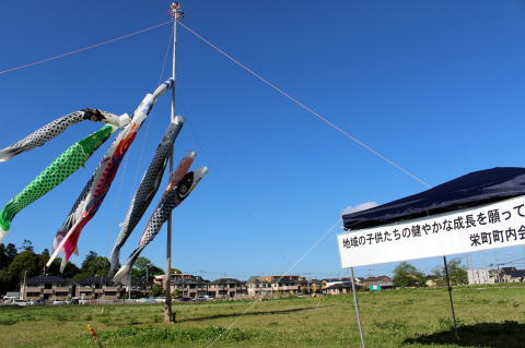 栄町こいのぼり