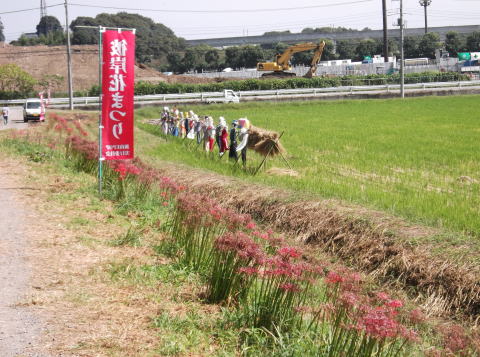 平成26年度9月28日_「彼岸花開花まつり」03